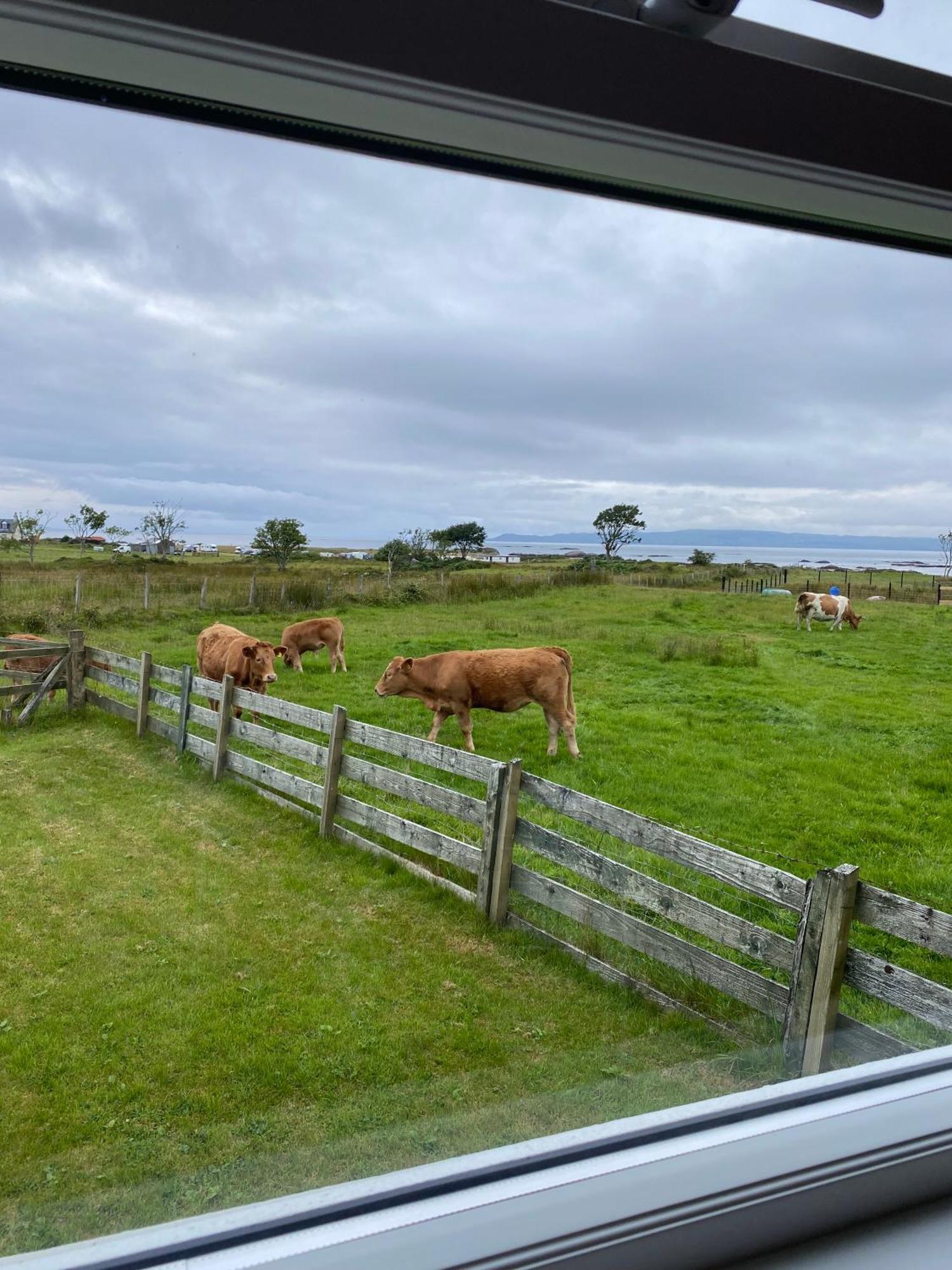 The Sheiling Holiday Home With Gorgeous Views Over The Isles อาริเซก ภายนอก รูปภาพ